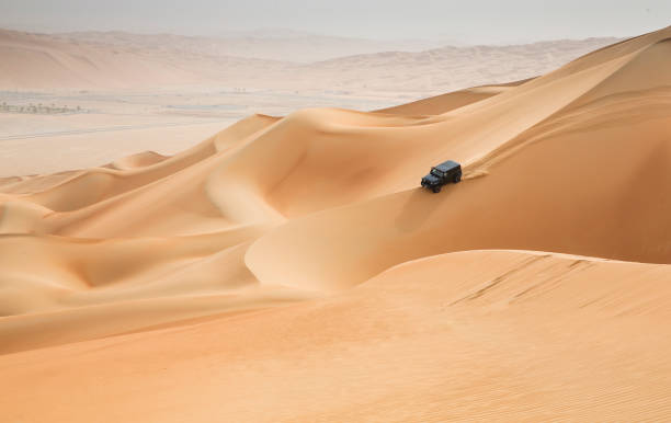 dune meeli