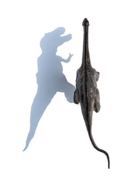 top ivew Diplodocus toy with shadow on a white background