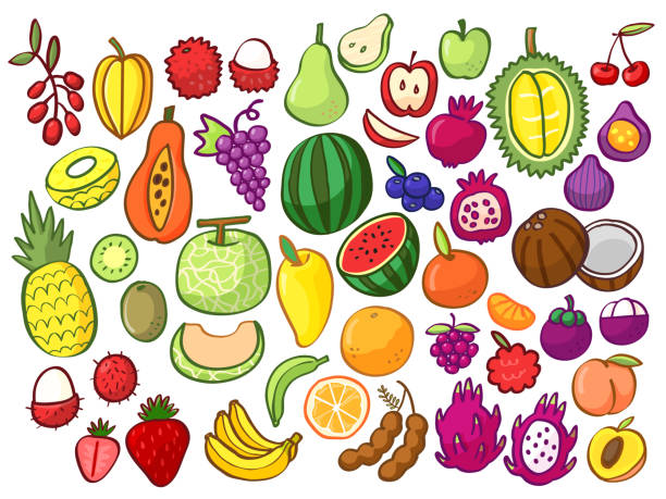 Group of tropical fruits, colorful doodles cartoon clip art isolated on white background vector illustration. Group of tropical fruits, colorful doodles cartoon clip art isolated on white background vector illustration. chrysophyllum cainito stock illustrations