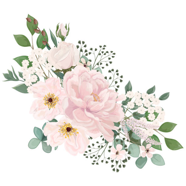 ilustraciones, imágenes clip art, dibujos animados e iconos de stock de invitación de boda con flores peony y hojas, acuarela, aislado en blanco. - rose valentines day flower single flower