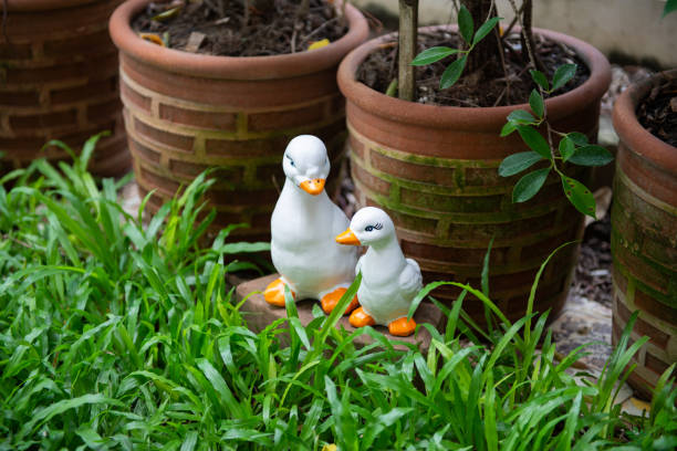 Yellow rubber toy ducks on leaf in a blue pool