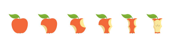 Red apple fruit bite stage set. From whole to apple core gradual decrease. Bitten and eaten. Animation progression. Flat vector illustration. Red apple fruit bite stage set. From whole to apple core gradual decrease. Bitten and eaten. Animation period progression. Flat vector illustration clipart. apple bite stock illustrations