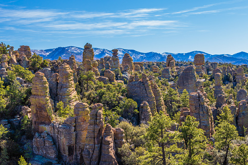 Rock forest in Chiricahua National Monument