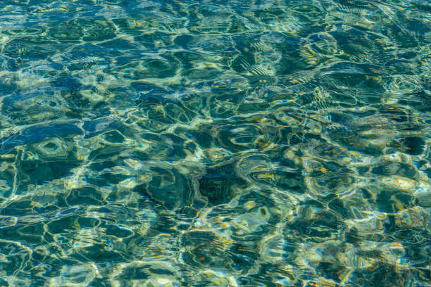 istock Background of Red sea water surface 1167142746