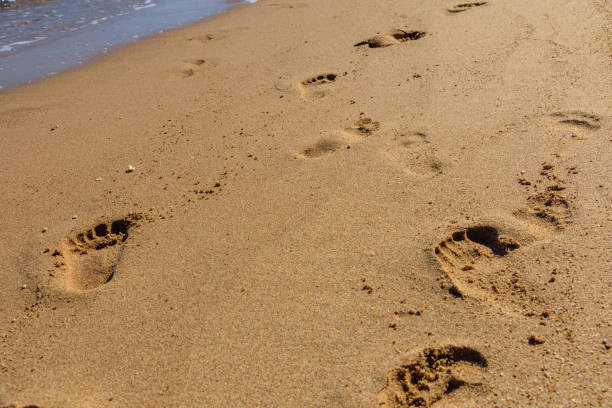 istock Human footprints on the sandy beach. Summer vacation concept 1167142806