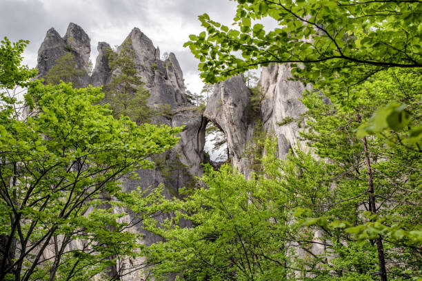 istock Gothic gate in Sulov rocks, Slovakia 1167147429