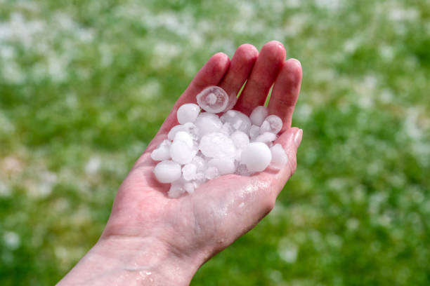 istock Hail in hands. Hailstorm 1167147504