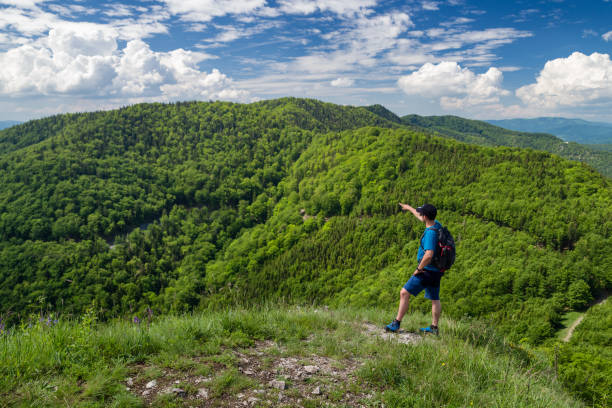 istock Hiker looking from hill Zniev, Slovakia 1167147696