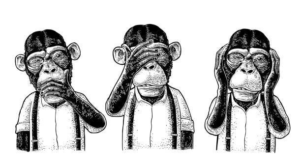 trzy mądre małpy. nie widzieć, nie słyszeć, nie mówić. grawerowanie vintage - see no evil hear no evil speak no evil stock illustrations