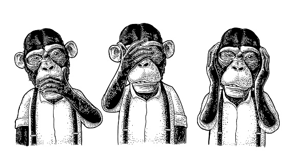 Three wise monkeys with hand on ears, eyes, mouth. Not see, not hear, not speak. Vintage black engraving illustration for poster, web, t-shirt, tattoo. Isolated on white background