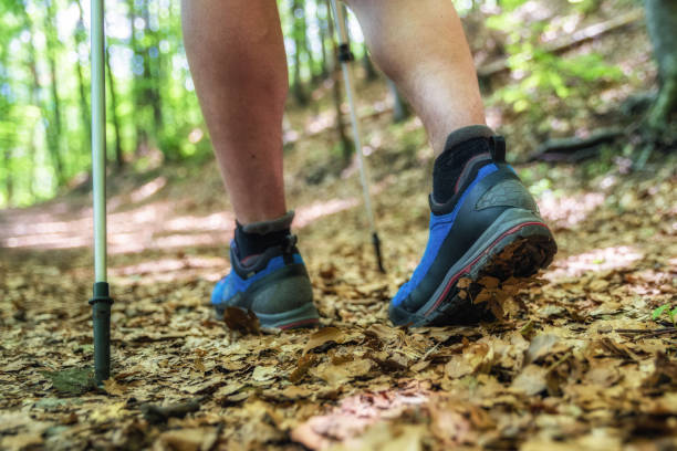 istock Hiking shoes walking on autumn leaves 1167148399