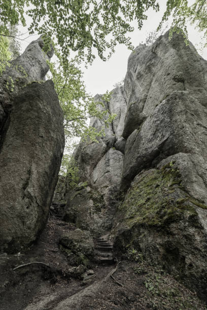 istock Rock formations in Sulov rocks, Slovakia 1167148597