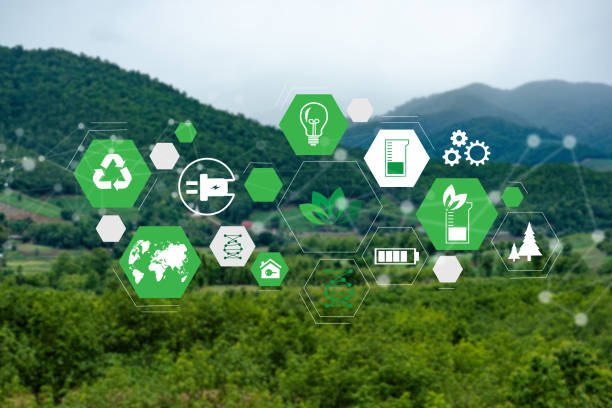 istock Team Business energy use, sustainability Elements energy sources sustainable 1167150713