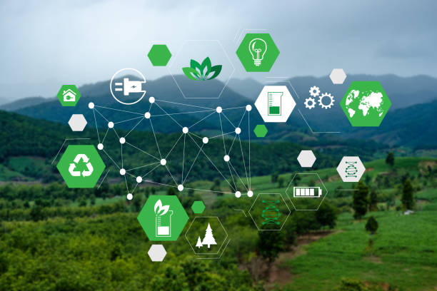 istock Team Business energy use, sustainability Elements energy sources sustainable 1167150721