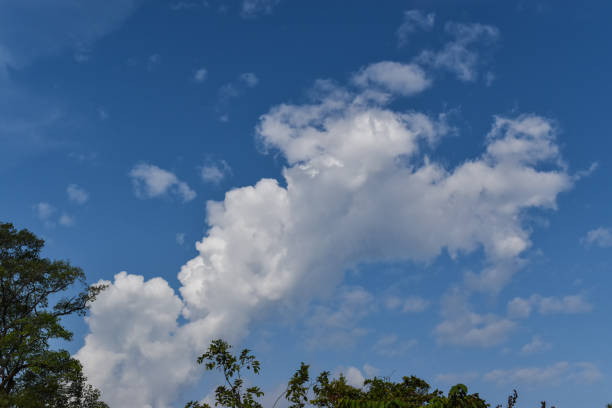 istock Blue sky and beautiful cloud. Plain landscape background for poster. 1167150757