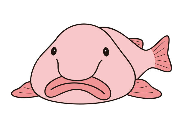 ilustraciones, imágenes clip art, dibujos animados e iconos de stock de blobfish nyudoukadica deep sea fish character vector illustration - deep sea diving illustrations