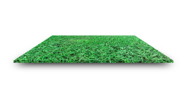 istock Green grass field isolated on white background. with clipping path. For sport stadium background. 1167151666