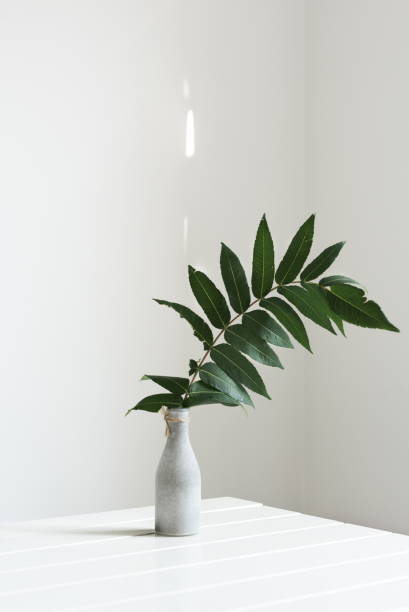 istock Green leaves in gray vase 1167152051