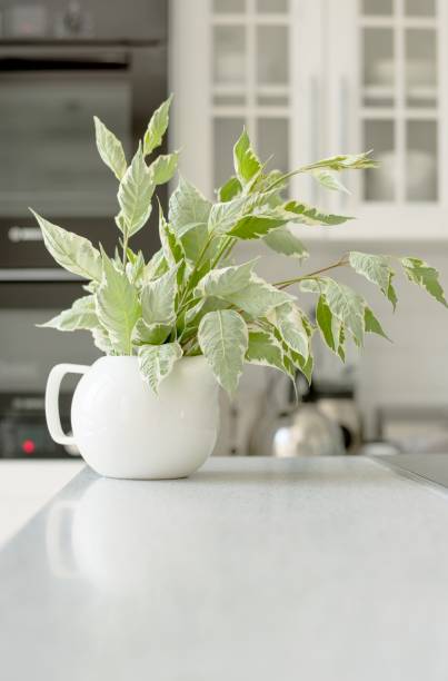 istock Green flowers in white Teapot 1167152116