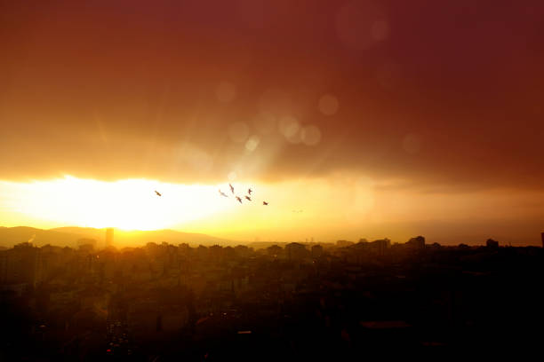 istock elevated view of smoky cityscape image 1167152136