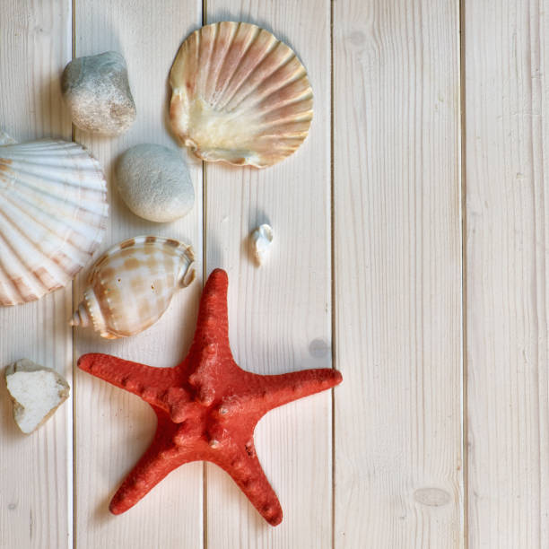 istock Maritime Decorations - stones, shells and knots - on light wood 1167153169
