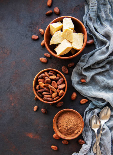 istock Cocoa beans, powder and butter 1167153398