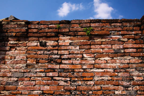 istock Close up of isolated ancient brick wall 1167154333