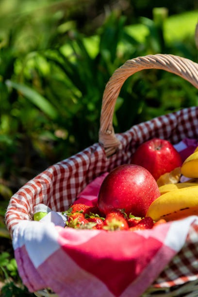 Picnic basket with fresh fruits