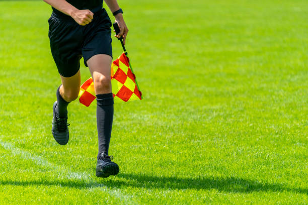 istock Low Section Of Man Holding Flag While Running On Grassy Field 1167162724