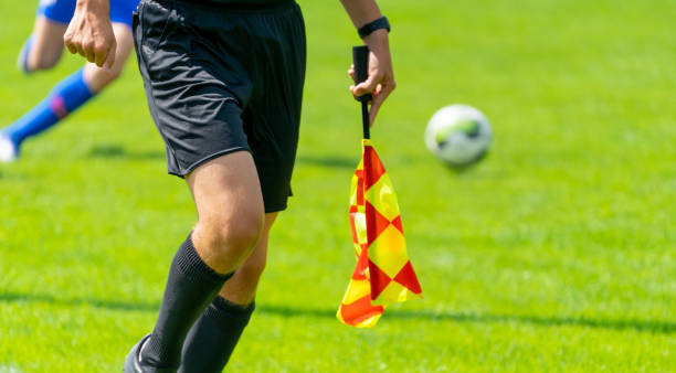 istock Low Section Of Man Holding Flag While Running On Grassy Field 1167163620