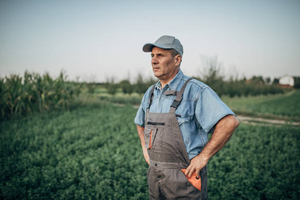 istock The proud farmer stands in a field 1167163657