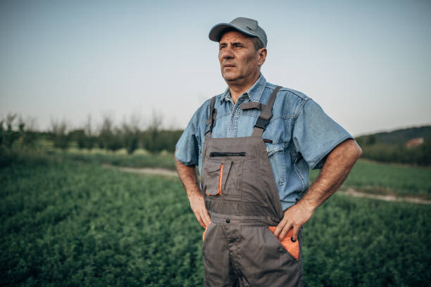 istock The proud farmer stands in a field 1167163812