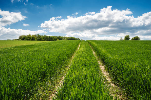 Taken in Horn-Bad Meinberg, Lippe, North Rhine Westphalia, Germany, Europe.