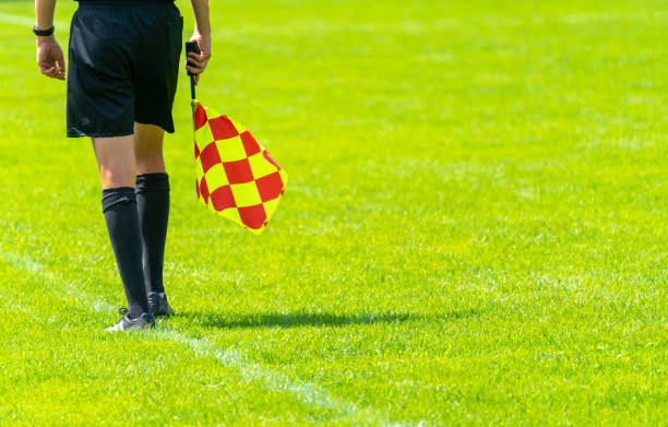 istock Low Section Of Man Holding Flag While Standing On Grassy Field 1167165318