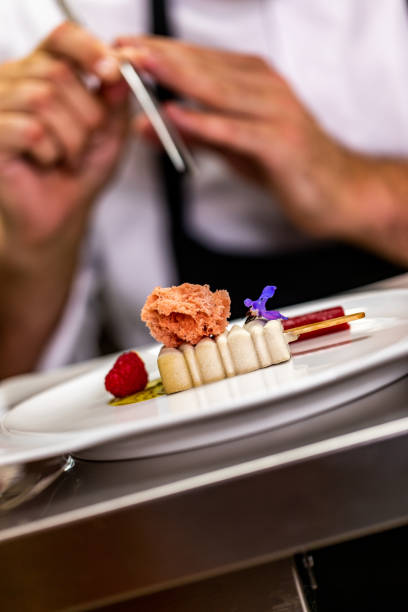 istock Fully decorated molecular cuisine dish created to look like an ice cream on a plate 1167167652