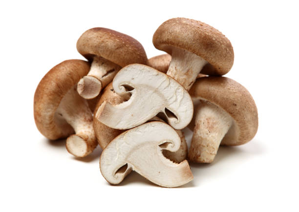 istock Shiitake mushroom on the White background 1167168591