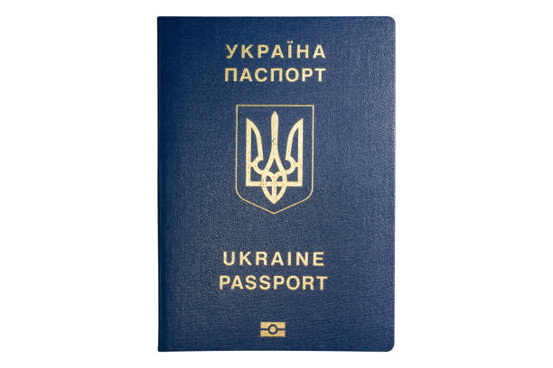 ukrainischer biometrischer reisepass - customs official examining emigration and immigration document stock-fotos und bilder