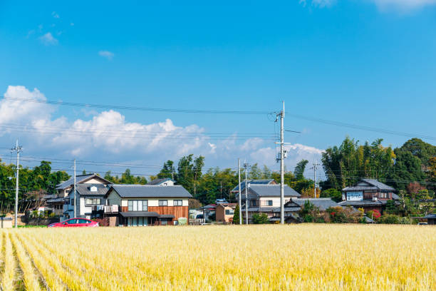 istock Japanese country 1167169896