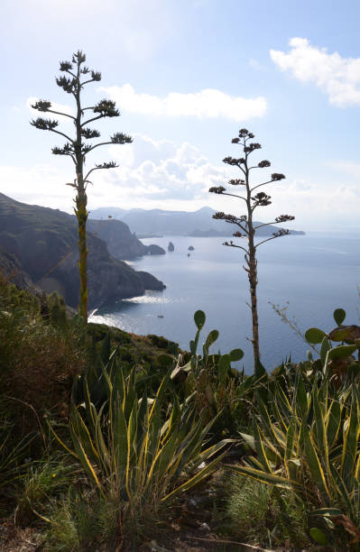 istock View from Lipari to Vulcano 1167169978