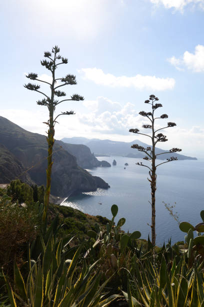 istock View from Lipari to Vulcano 1167169979