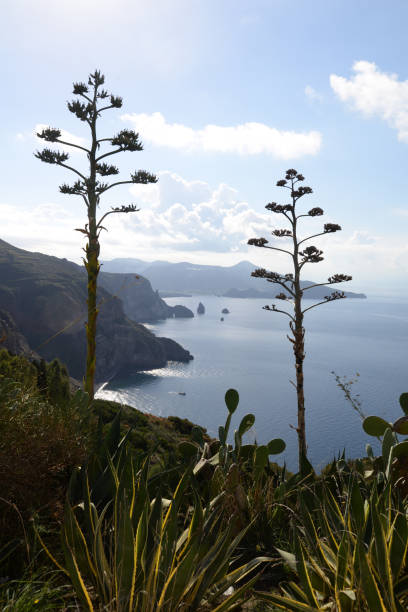 istock View from Lipari to Vulcano 1167170007