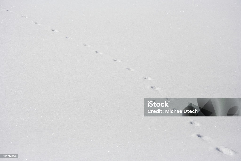 Track In Plain Schnee - Lizenzfrei Abstrakt Stock-Foto