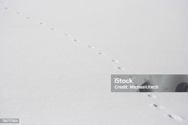 Track In Plain Schnee Stockfoto und mehr Bilder von Abstrakt - Abstrakt, Bildhintergrund, Eiskristall