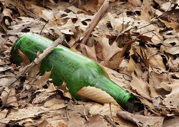 Beer Bottle Trash Dead Leaf Forest stock photo