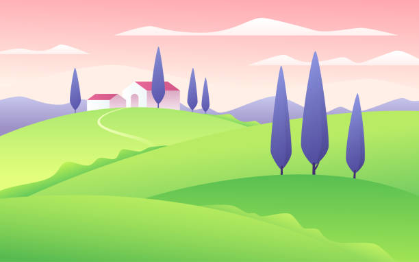 ilustraciones, imágenes clip art, dibujos animados e iconos de stock de ilustración vectorial de un paisaje rural de estilo plano de verano - tuscan cypress