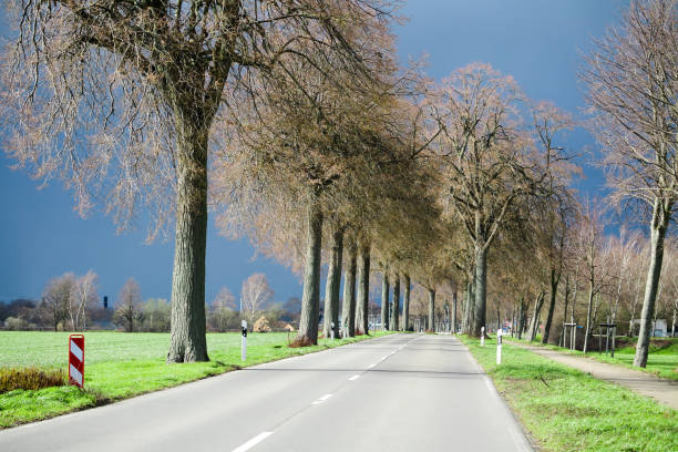 VIERSEN, GERMANY - Dark sky with hail bearing clouds over country road and bare trees announcing thunder storm. Sun and dark clouds causing extreme bright lighting conditions.