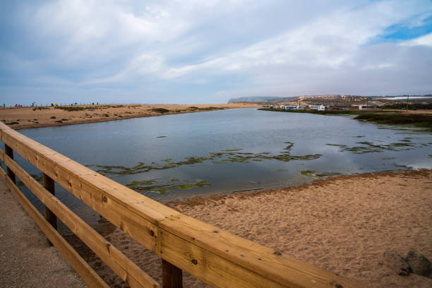 istock Foz do Sizandro beach in Portugal 1167176606