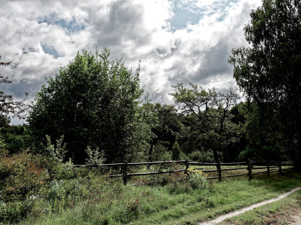 istock Country fence 1167176827