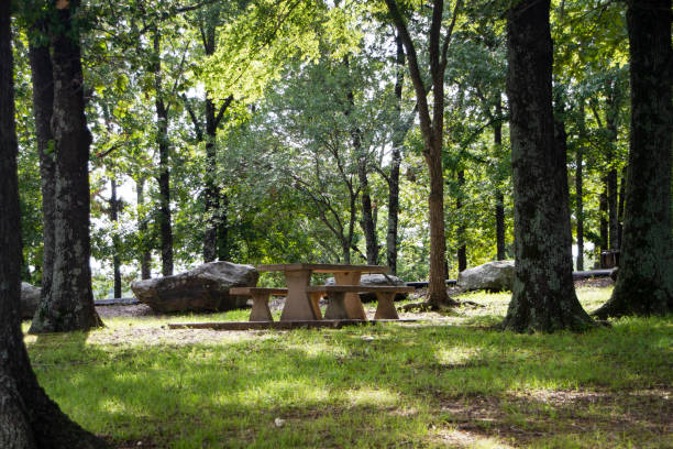istock Picnic table at a State Park in Oklahoma 1167176977