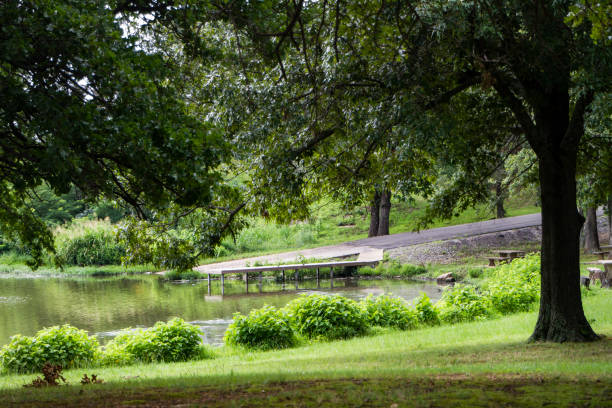 istock Boat ramp at recreation area with lush foliage 1167177041